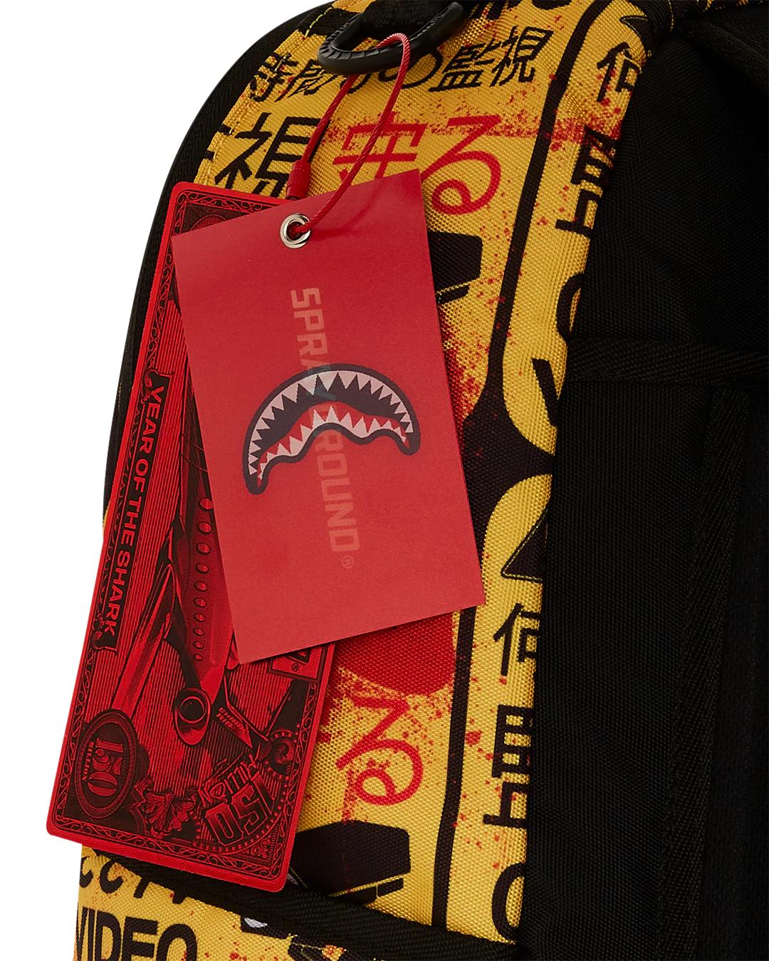 CCTV SECTOR 404 BACKPACK