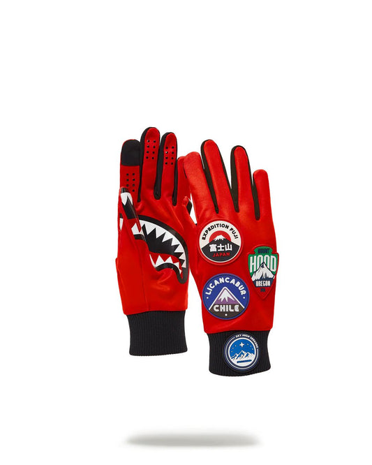 THE GLOBAL EXPEDITION GLOVES