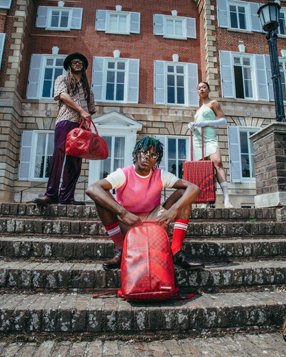 VENI VIDI VICI LUGGAGE