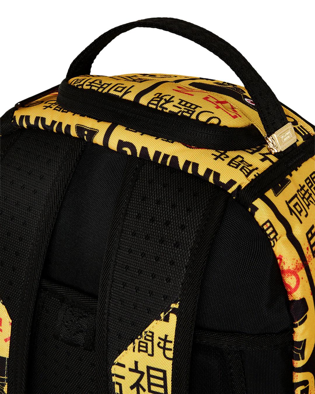 CCTV SECTOR 404 BACKPACK
