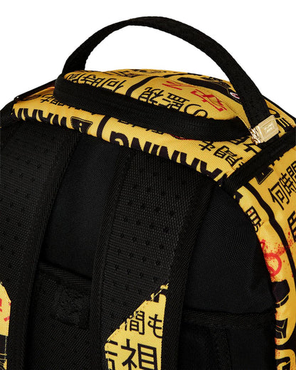 CCTV SECTOR 404 BACKPACK
