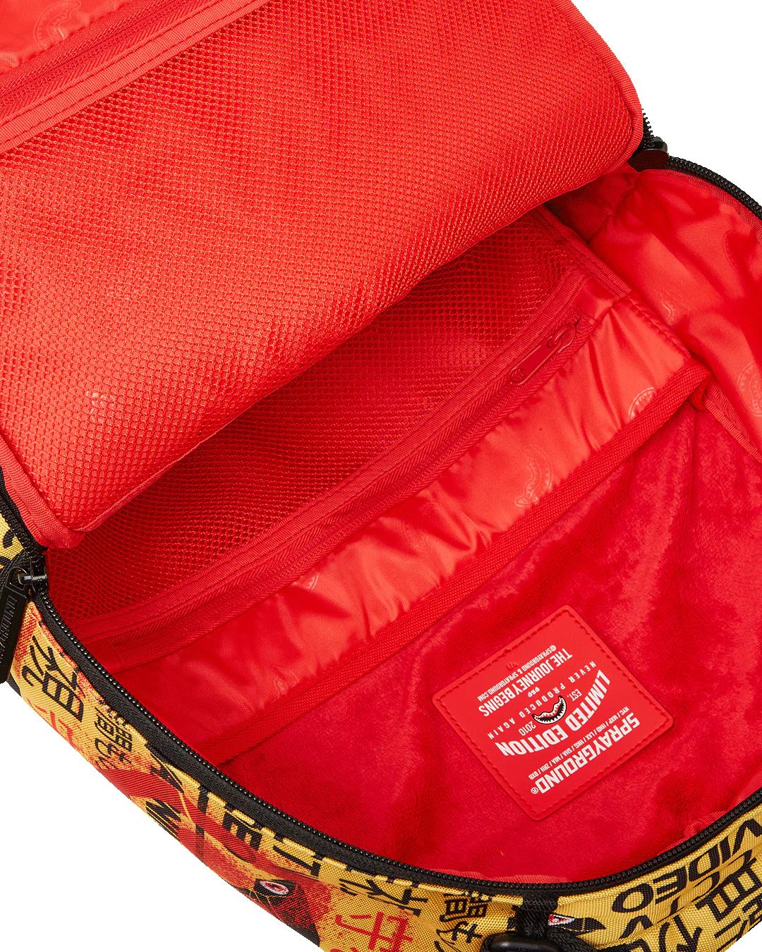 CCTV SECTOR 404 BACKPACK
